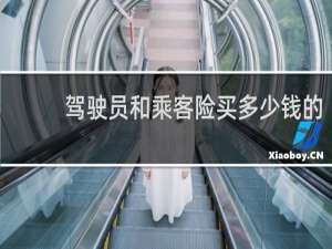 驾驶员和乘客险买多少钱的