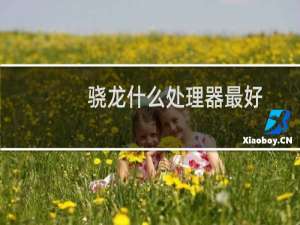 骁龙什么处理器最好