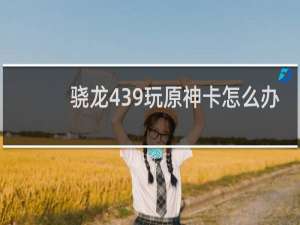 骁龙439玩原神卡怎么办