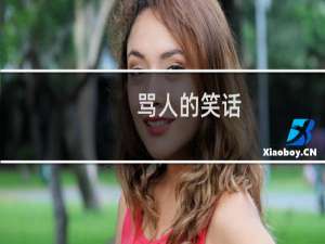 骂人的笑话