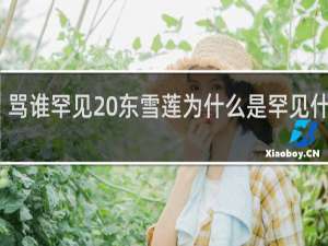 骂谁罕见 东雪莲为什么是罕见什么梗