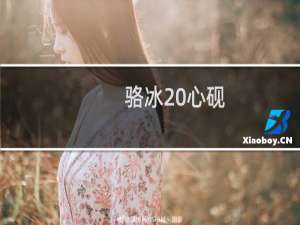 骆冰 心砚