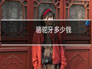 骆驼牙多少钱