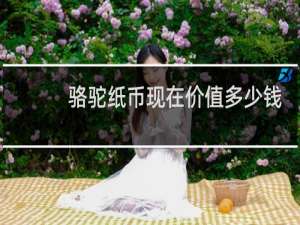骆驼纸币现在价值多少钱