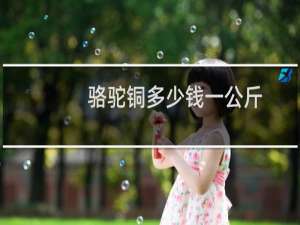 骆驼铜多少钱一公斤