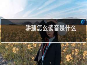 骈臻怎么读音是什么（骈臻什么意思）