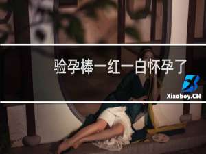 验孕棒一红一白怀孕了没有（验孕棒一红一白怀孕了怎么办）