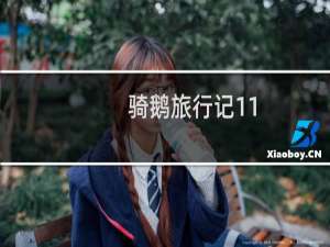 骑鹅旅行记11
