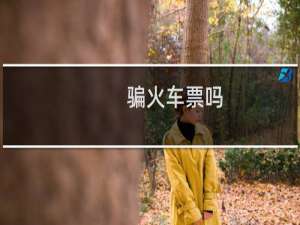 骗火车票吗