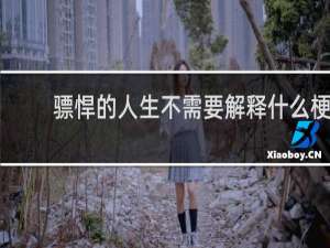 骠悍的人生不需要解释什么梗？骠悍的人生不需要解释是什么意思什么梗