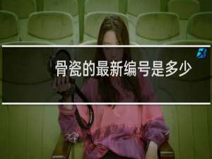 骨瓷的最新编号是多少