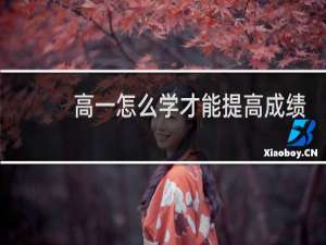 高一怎么学才能提高成绩