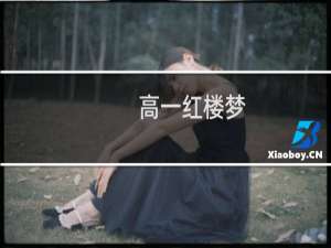 高一红楼梦