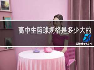 高中生篮球规格是多少大的