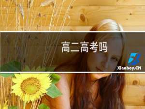 高二高考吗