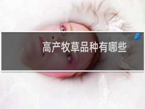 高产牧草品种有哪些