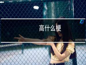 高什么梗