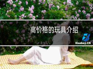 高价格的玩具介绍