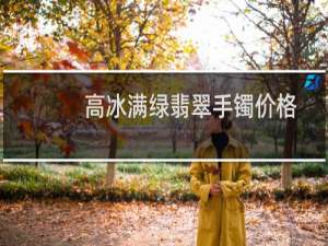 高冰满绿翡翠手镯价格