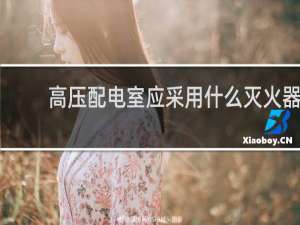 高压配电室应采用什么灭火器