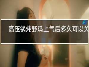 高压锅炖野鸡上气后多久可以关火