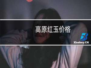 高原红玉价格