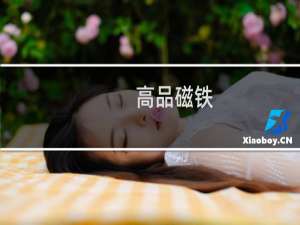 高品磁铁