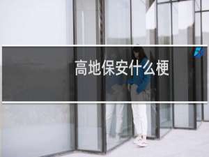 高地保安什么梗？什么梗