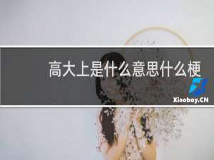 高大上是什么意思什么梗