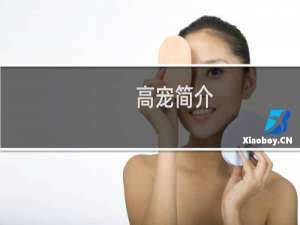 高宠简介，高宠怎么死的，高宠挑滑车