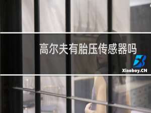 高尔夫有胎压传感器吗