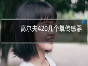 高尔夫4 几个氧传感器