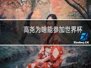高尧为啥能参加世界杯