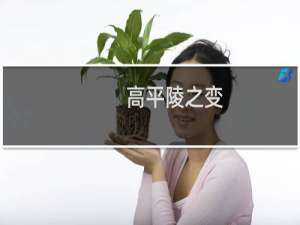 高平陵之变：司马氏与郭太后的关系？