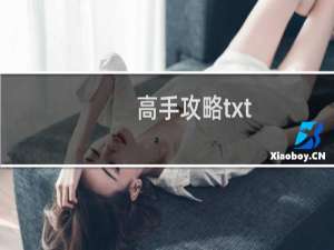 高手攻略txt