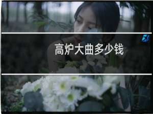 高炉大曲多少钱