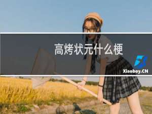 高烤状元什么梗