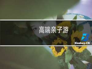 高端亲子游
