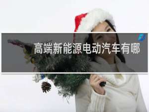 高端新能源电动汽车有哪些