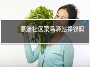 高端社区菜鸟驿站挣钱吗