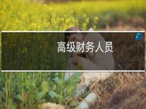 高级财务人员