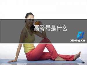 高考号是什么