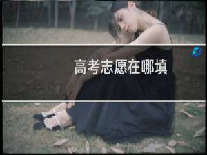 高考志愿在哪填