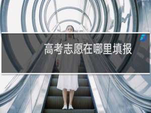 高考志愿在哪里填报
