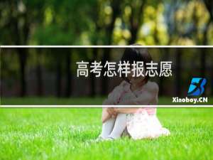 高考怎样报志愿