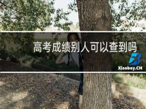 高考成绩别人可以查到吗