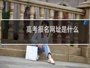 高考报名网址是什么