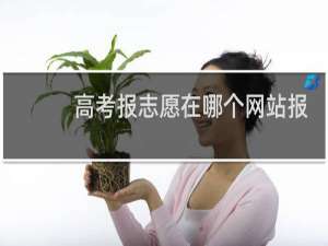 高考报志愿在哪个网站报名