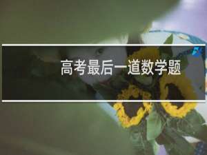 高考最后一道数学题