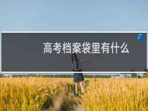 高考档案袋里有什么